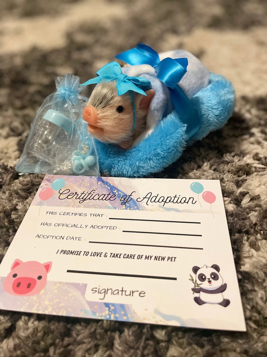 Teacup Pet - Doll Adoption Package